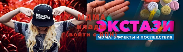прущие грибы Балабаново