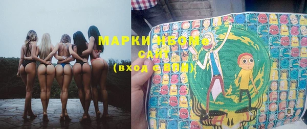 прущие грибы Балабаново