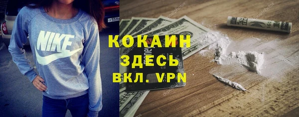 прущие грибы Балабаново