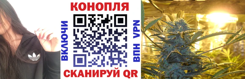 Бошки Шишки OG Kush  купить   Старая Купавна 